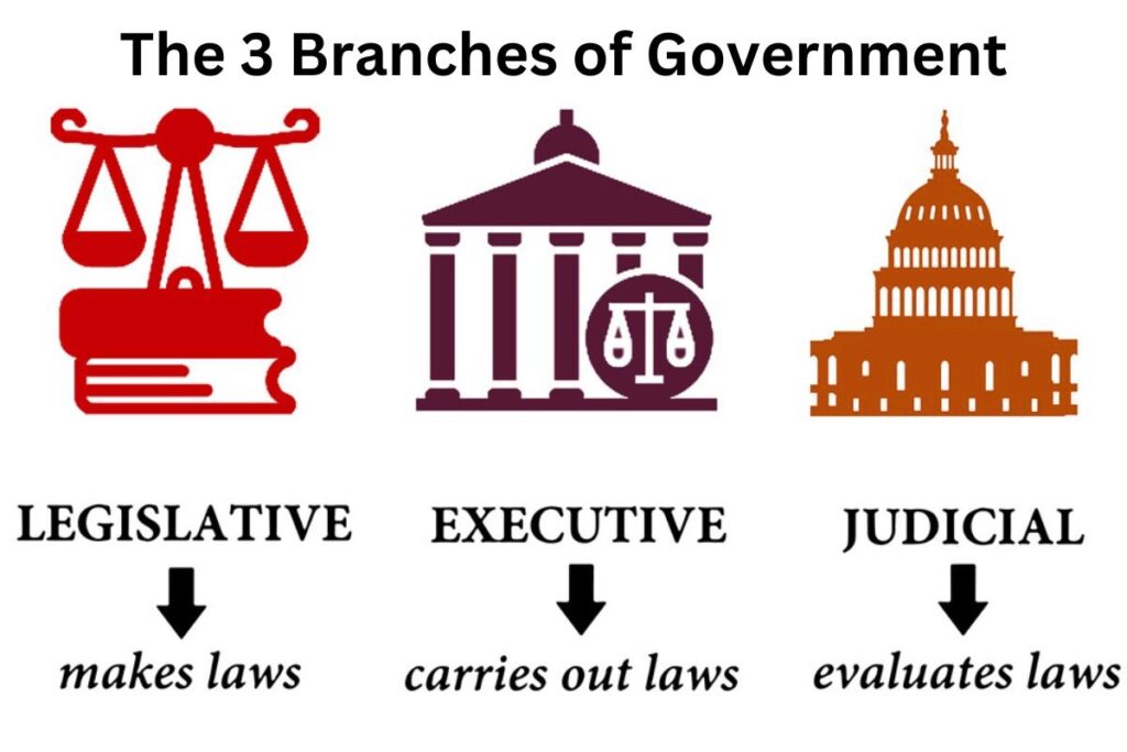 Understanding Key U.S. Government Entities and Their Roles